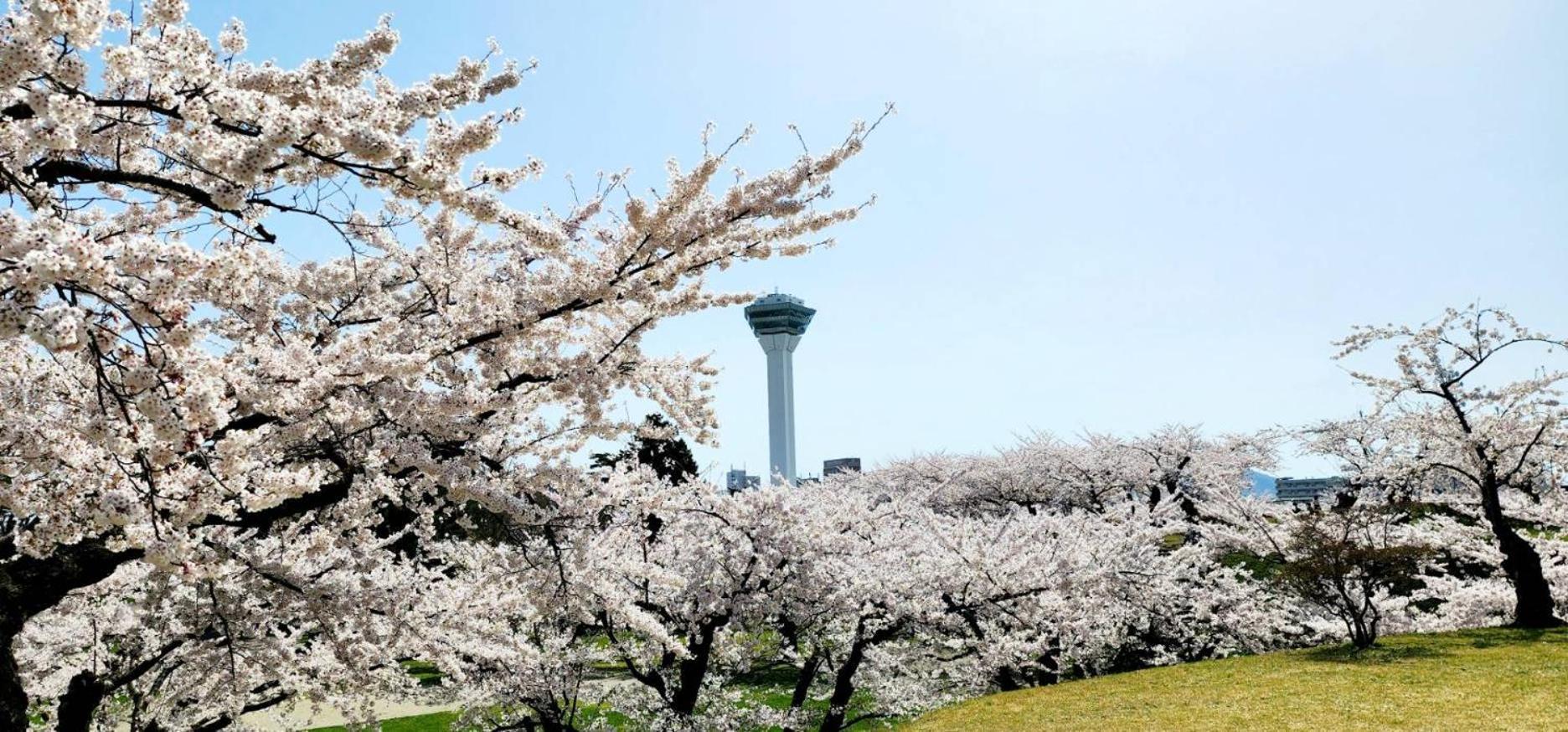 Yunohama Hotel Hakodate Exterior photo